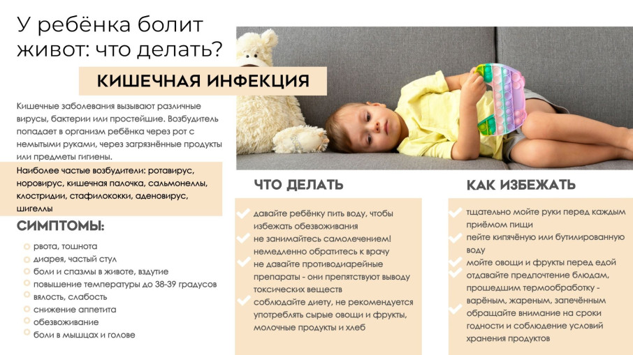 Кишечная инфекция Кишечная инфекция.